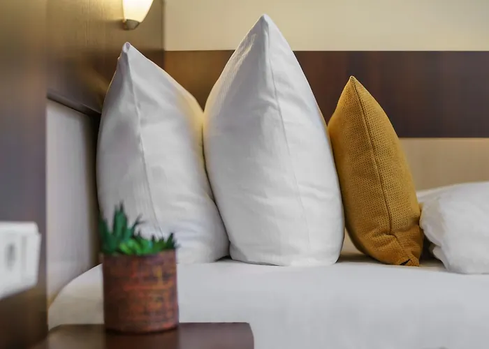 Novum Eleazar Center 4*