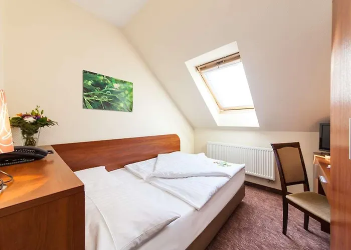 Novum Eleazar Center 4*